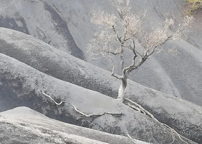 Le Galabre La Robine-Sur-Galabre